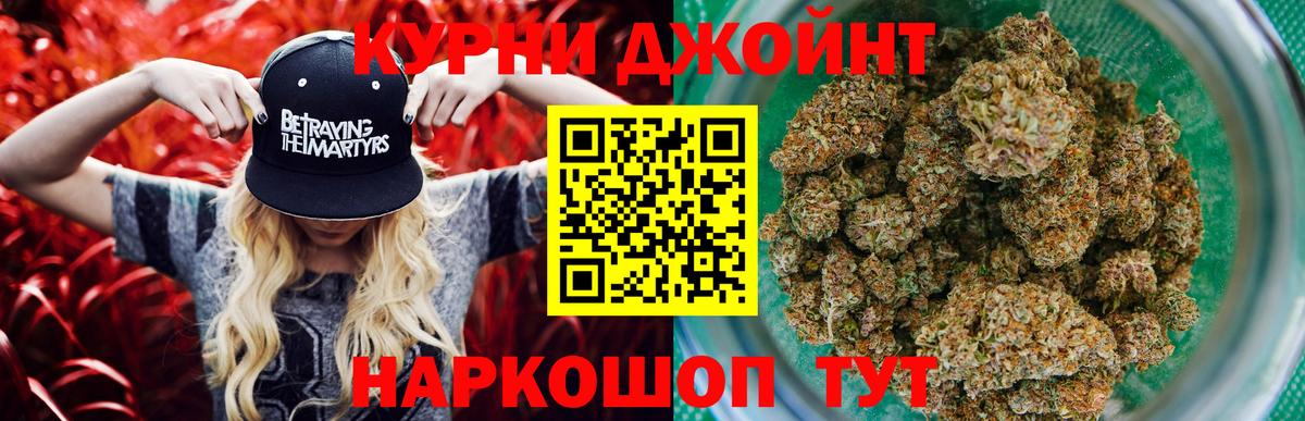 Канабис планчик Кохма